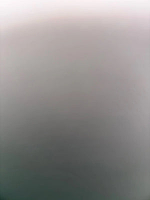 A1e4686580a2549aeb7387f95c4e2c5a1W.jpg