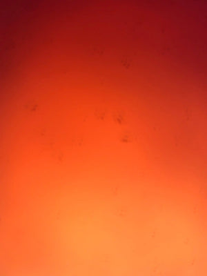 A3eac0965c43d4bdda287922d210b73d2Z.jpg